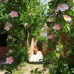 Feriegård Olivazzi *