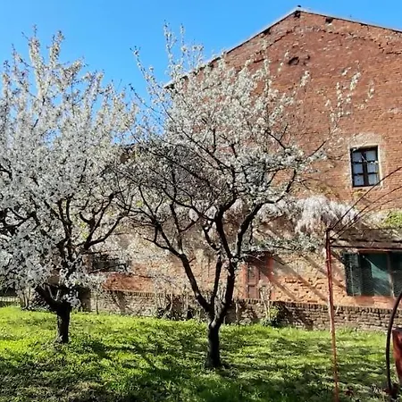 Olivazzi Quattordio