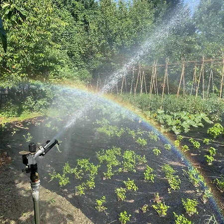 Feriegård Olivazzi