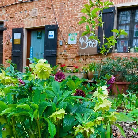 Farm stay Olivazzi *