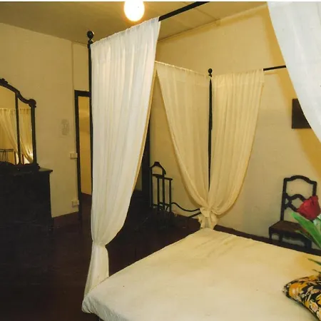 农家乐 奥利瓦兹农家乐 *